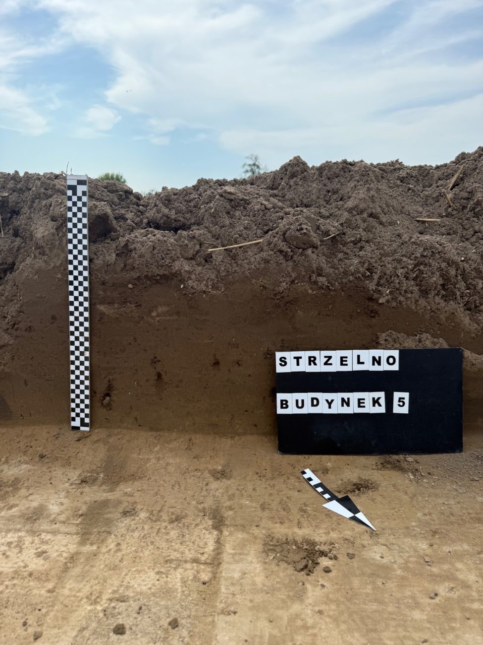 Dokumentacja profilu archeologicznego w Strzelnie