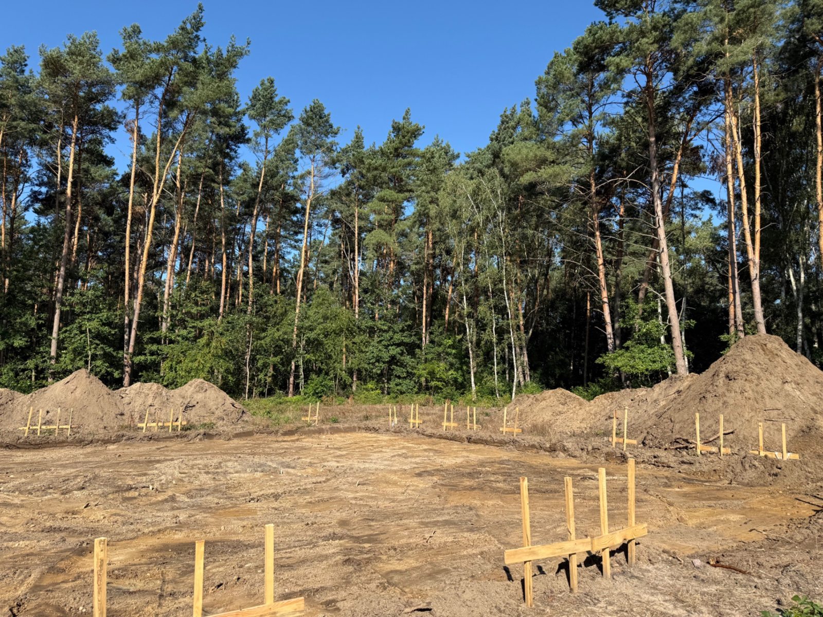 Teren badań archeologicznych w otoczeniu lasu